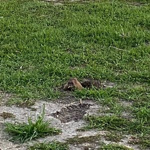 Meet your Posher, Ethan